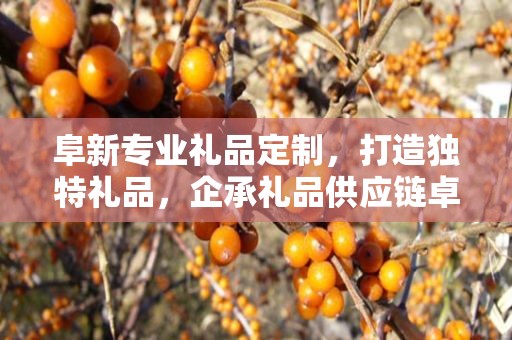 阜新专业礼品定制，打造独特礼品，企承礼品供应链卓越服务